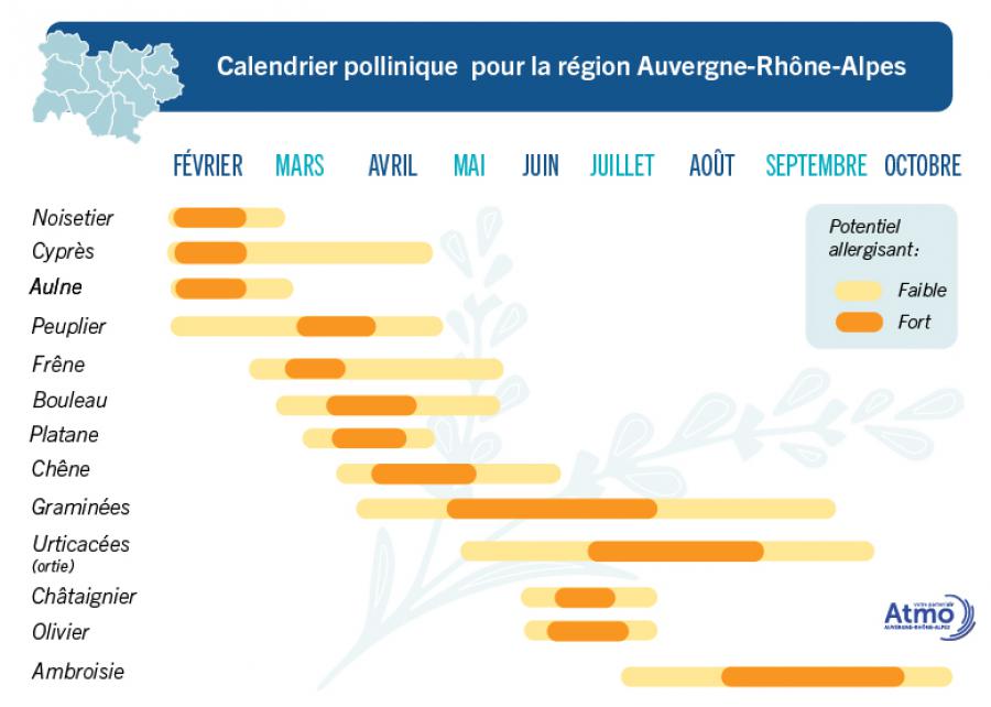Calendrier pollinique