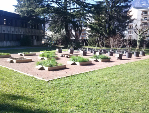 Parlons pollen