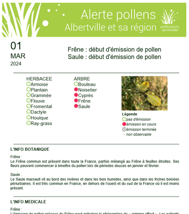 Alerte pollens