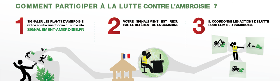 Signalement ambroisie