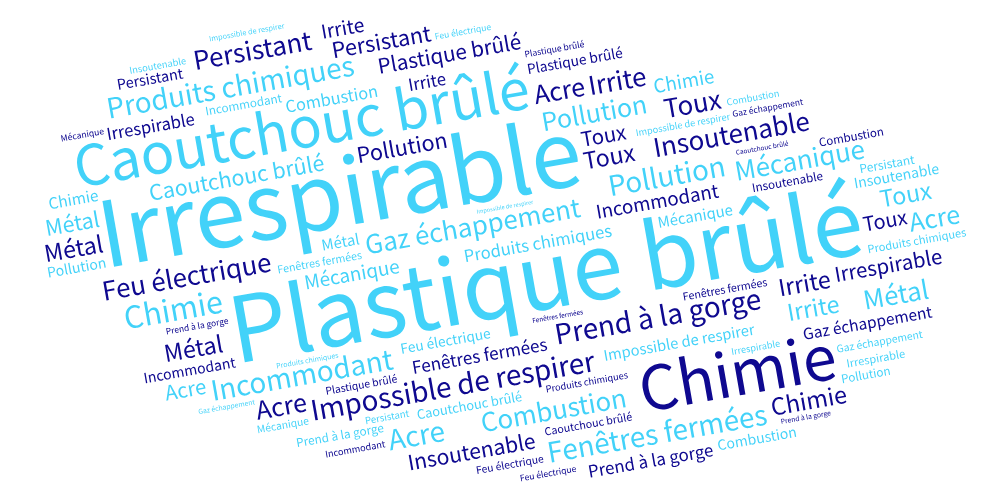 Nuage de mots verbatim des signalements