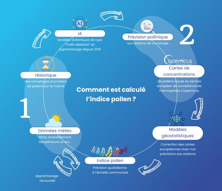 indice pollens