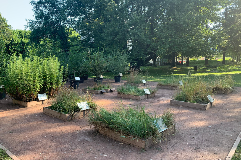 Les pollinariums sentinelle