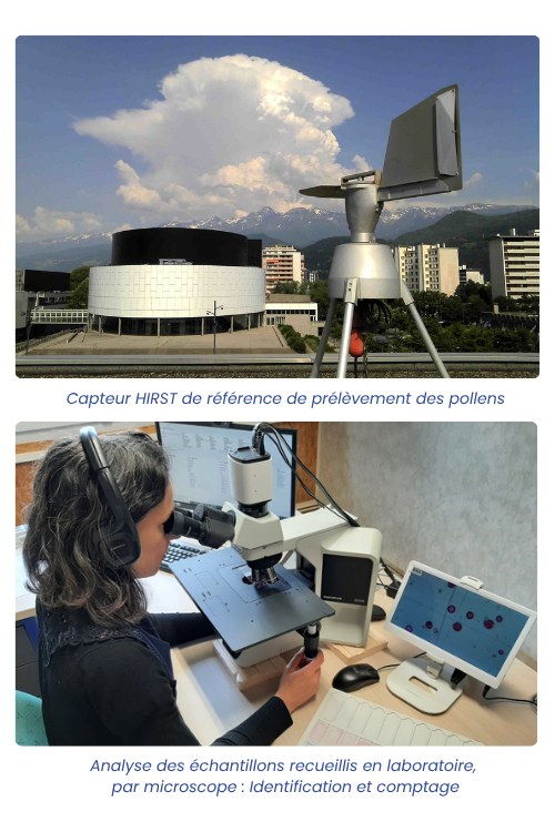 Comptage pollens et Hirst