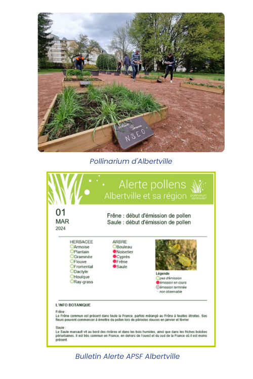Pollinarium et bulletin