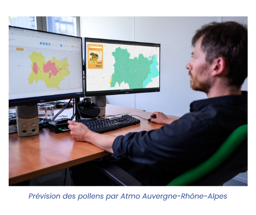 Prévisions des pollens