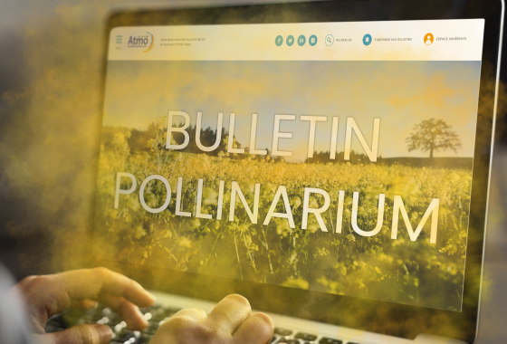 Bulletin pollinarium