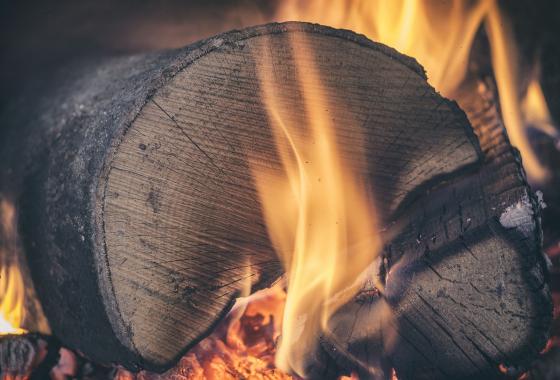 Feu de bois