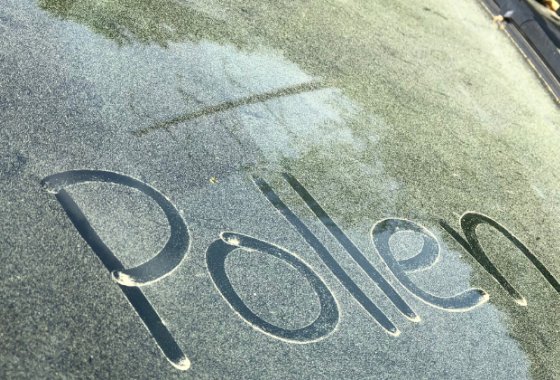 Webinaire nouvel indice pollen 2025