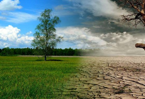 changement climatique