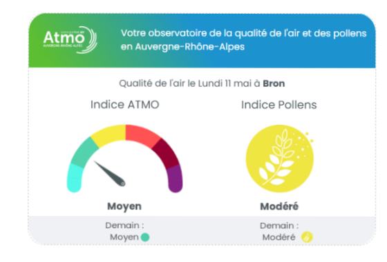Widget qualité de l'air et pollens – Auvergne-Rhône-Alpes