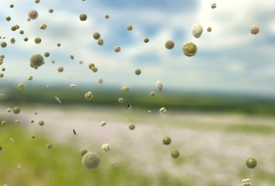 Actu - mesures de pollens en Auverge-Rhône-Alpes