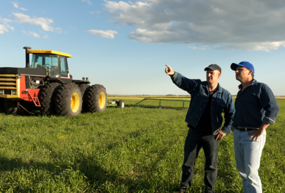 agriculture