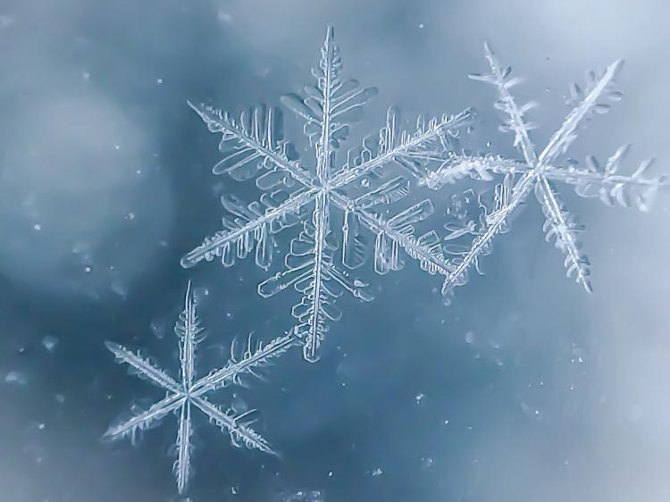 Flocons de neige