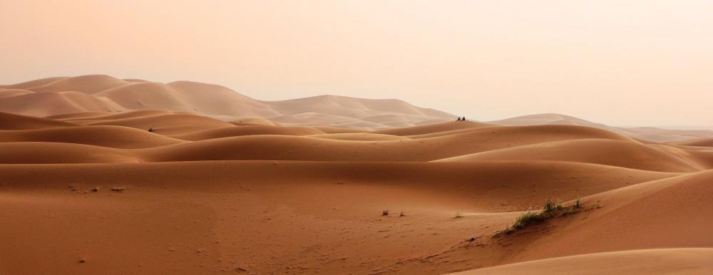 Sahara