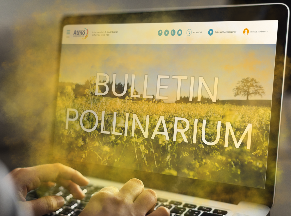 Bulletin pollinarium