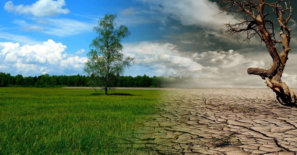 changement climatique