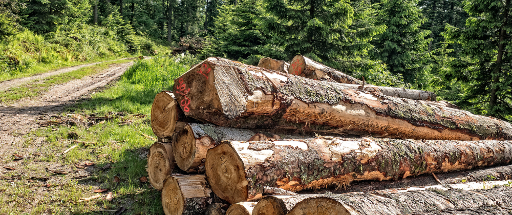 Bois Energie enjeux climatiques et impacts qualité de l'air