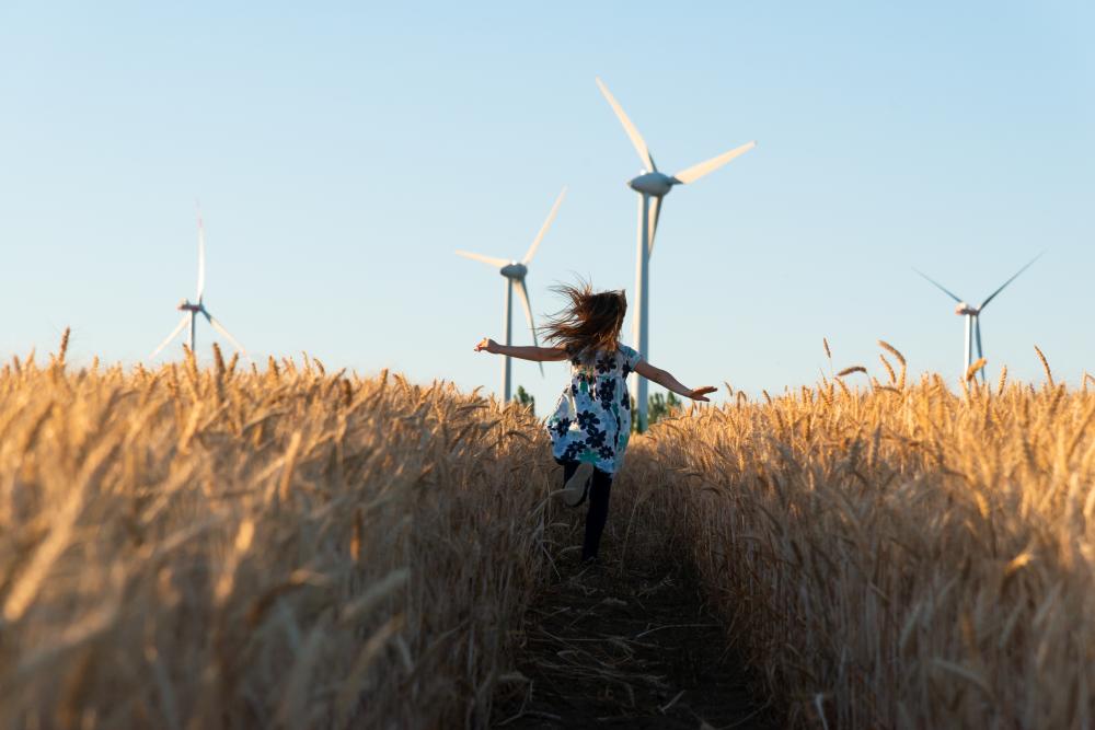 Champ de blé en été, enfant, vent et éoliennes