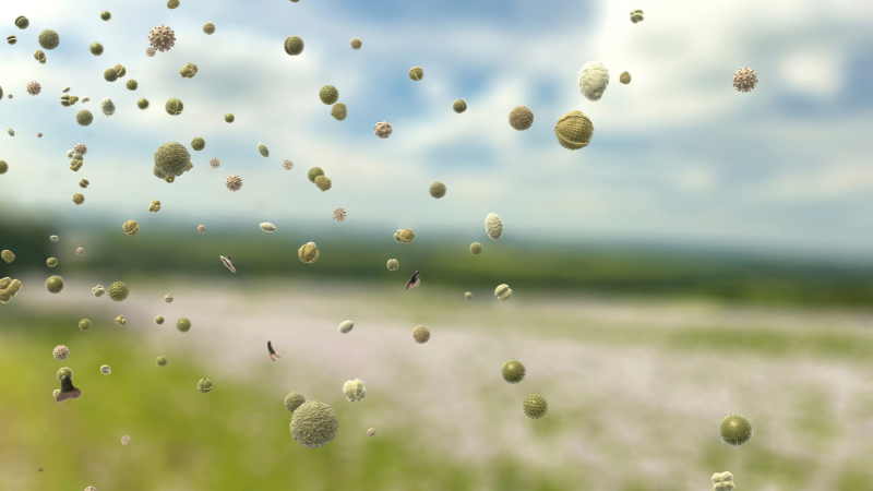 Actu - mesures de pollens en Auverge-Rhône-Alpes