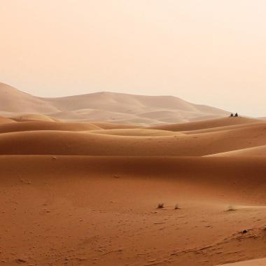 Sahara