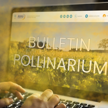Bulletin pollinarium