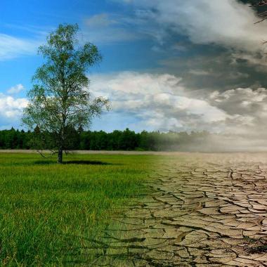 changement climatique