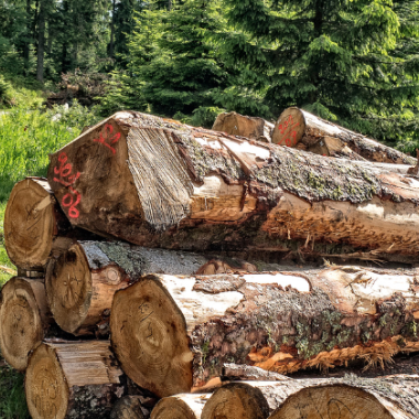 Bois Energie enjeux climatiques et impacts qualité de l'air