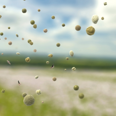 Actu - mesures de pollens en Auverge-Rhône-Alpes