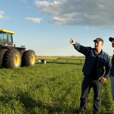 agriculture